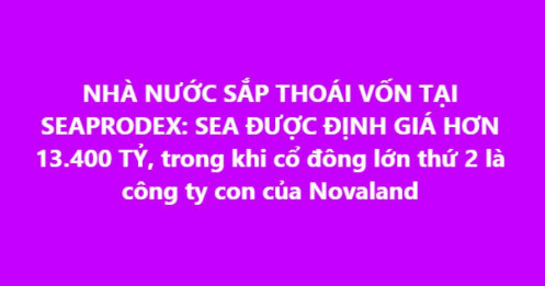 Một doanh nghiệp thủy sản liên quan Novaland sắp được Nhà nước bán sạch vốn