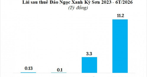 Chủ khu biệt thự Đảo Ngọc lãi nửa đầu năm gấp 11 lần cùng kỳ