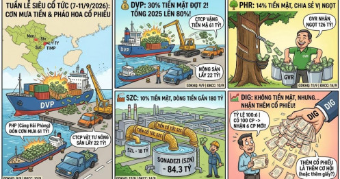 Tuần tới: Loạt doanh nghiệp “chốt quyền” cổ tức, DVP gây chú ý với mức 30% tiền mặt