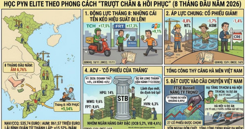 Sau tháng 7 “kinh hoàng”, PYN Elite bật tăng 5,5% trong tháng 8, bộ đôi họ FPT kéo mạnh