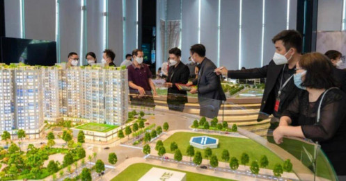 Môi giới nhà đất không có chứng chỉ bị phạt tới 60 triệu đồng