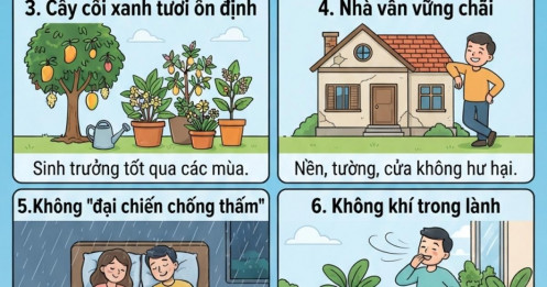 Mua nhà đừng chỉ xem hướng: 8 dấu hiệu âm thầm tiết lộ chất lượng mảnh đất