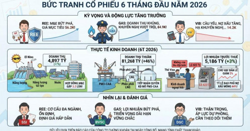 REE, GAS và VIB có gì hấp dẫn?