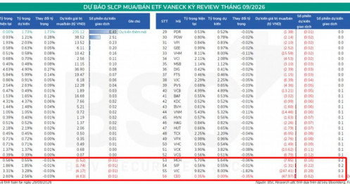 Hai “cá mập” 24.000 tỷ đồng sắp ra tay: NVL, SSB có thể được gom mạnh trong tháng 9