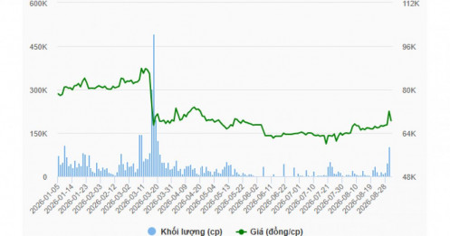 PAT chốt quyền trả cổ tức tiền mặt 29% sau khi cổ phiếu rời diện cảnh báo