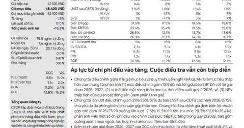 DGC đối mặt năm 2026 đầy thách thức: Lợi nhuận có thể “bốc hơi” 47%