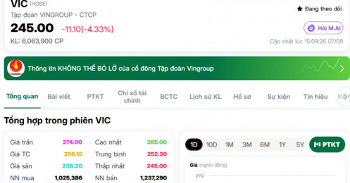VIC “quay đầu” trong tích tắc, vốn hóa bốc hơi hơn 86.000 tỷ đồng