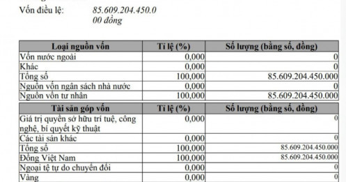 Thương vụ 13.309 tỷ đồng: VinFast Auto chính thức rút hết vốn khỏi công ty sản xuất tại Việt Nam