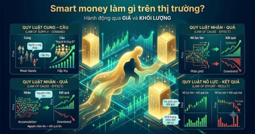 Smart money làm gì trên thị trường?
