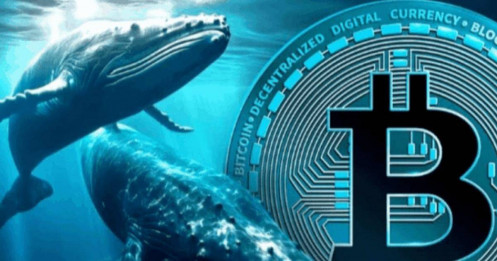 Bitcoin bị cá voi “xả hàng”
