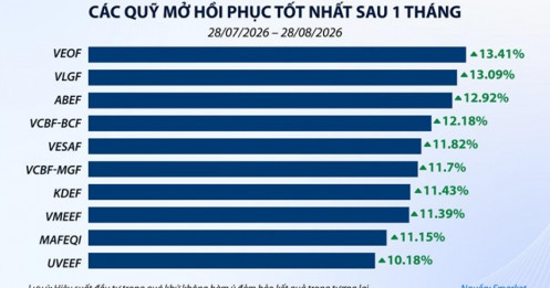 Thị trường hồi phục, lợi nhuận quỹ mở ra sao?