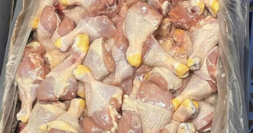 Gà nhập khẩu rẻ bằng nửa hàng nội