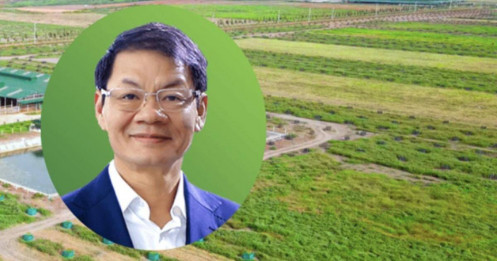 Công ty nông nghiệp của ông Trần Bá Dương đề xuất làm 2 dự án dược liệu hơn 3,800ha tại Đà Nẵng