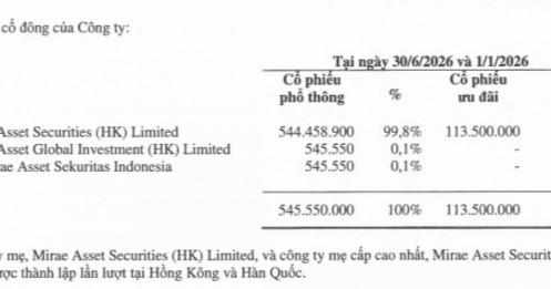 Chứng khoán Mirae Asset (Việt Nam) sắp chuyển 113.5 triệu cp ưu đãi thành phổ thông?