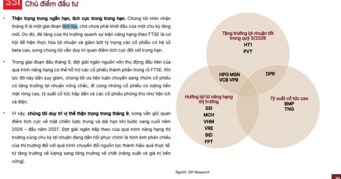 Đừng vội FOMO: Tháng 9 là để tích lũy, đại sóng chưa tới sớm