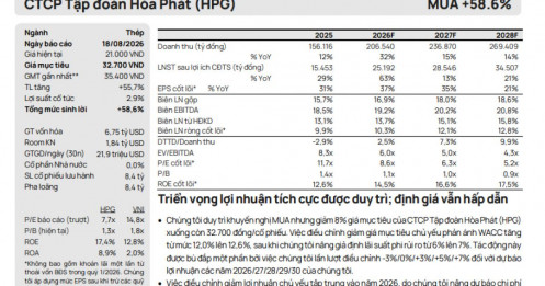 VinMetal xây nhà máy 80.000 tỷ, Hòa Phát sẽ chịu sức ép thế nào?