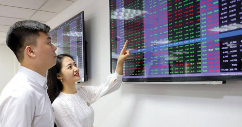 Sau nhịp rung lắc, tiền đi đâu?