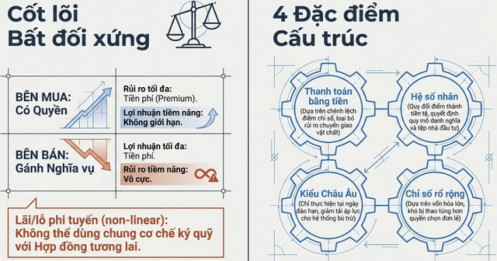 Quyền chọn chỉ số cổ phiếu: Kinh nghiệm quốc tế và những khuyến nghị cho thị trường Việt Nam