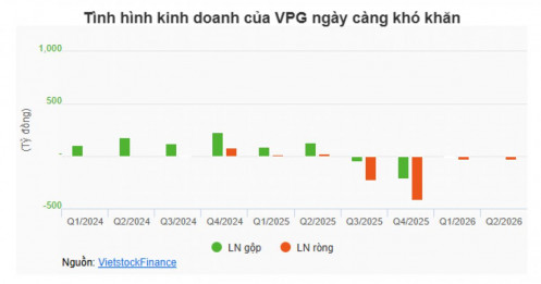 VPG bị HOSE nhắc chậm công bố BCTC soát xét, loạt sức ép tài chính phía sau