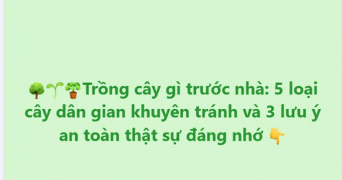 Trồng cây trước nhà: 5 loại cây nhiều người vẫn kiêng
