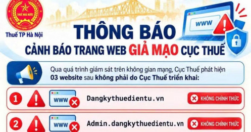 Cơ quan Thuế khuyến cáo người dân không truy cập 3 website giả mạo