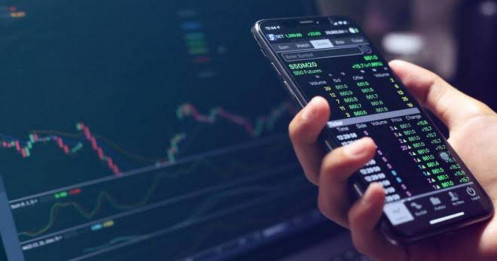 DCM, BSR nổi bật trước phiên 16/9