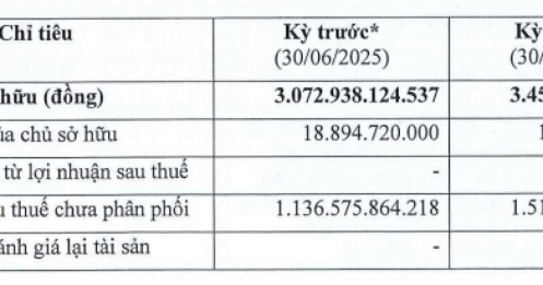 Ông lớn đứng sau Giao Hàng Nhanh, Ahamove: Nợ phình to, lợi nhuận “bốc hơi” 94%