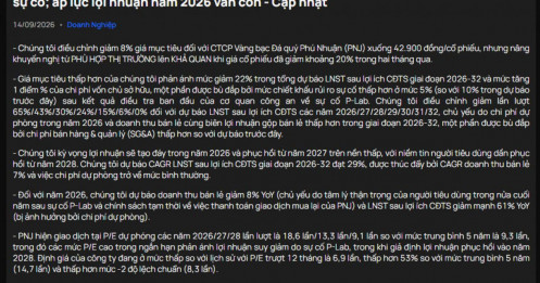 Vietcap hạ giá mục tiêu PNJ: Lợi nhuận có thể “chạm đáy” ngay trong năm nay