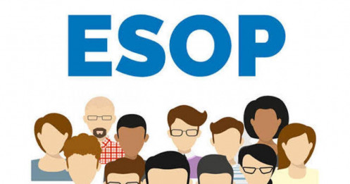 Esop của nhân viên khi công ty bị mua lại: Chuyện gì thực sự xảy ra