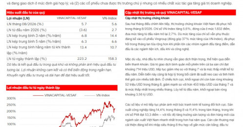 Cổ phiếu tăng nóng, quỹ VinaCapital vẫn ngồi trên đống tiền mặt gần 10%: Vì sao?