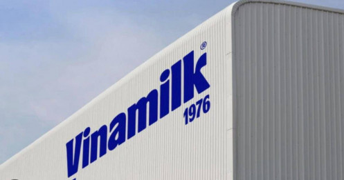 Vinamilk bị HOSE nhắc nhở, chuyện gì đang xảy ra với HĐQT?