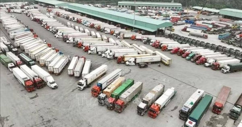 Fed tăng lãi suất lần đầu sau 3 năm: Việt Nam có đủ dư địa để ứng phó