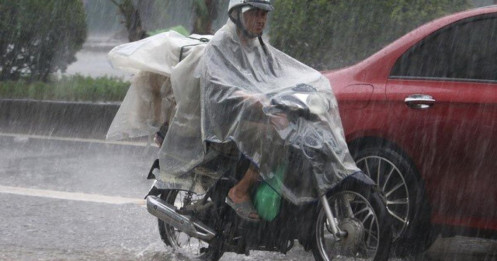 Những tỉnh thành này là tâm điểm mưa lớn trong ngày hôm nay