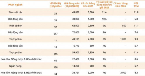 CTCK điểm tên loạt cổ phiếu “hái ra tiền”: Cổ tức lên tới 18%, P/E chỉ hơn 5 lần