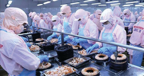 Xuất khẩu thủy sản vướng “giấy thông hành”