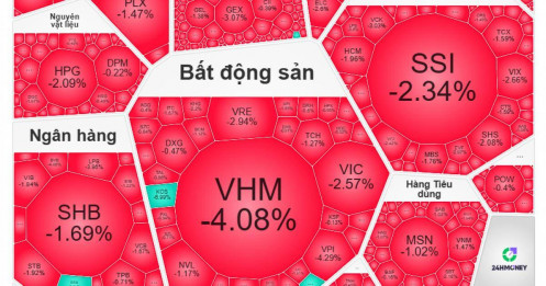 VN-Index bất ngờ “đỏ lửa” đầu tuần, chứng sĩ tiếp tục “gieo sầu” giữa kỳ vọng hậu nâng hạng