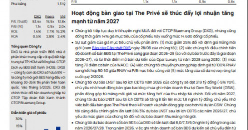 DXG – DXS cùng bị giảm giá mục tiêu: Dòng tiền sẽ nhìn vào đâu?