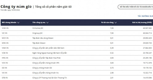 VNM ETF vừa “xáo bài” tháng 9: Loạt cổ phiếu biến động ra sao?