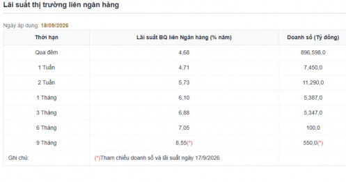 NHNN tung gần 48.000 tỷ đồng và mở lại kênh hoán đổi USD: Điều gì đang xảy ra?