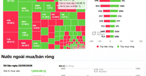 Khối ngoại trở lại mua ròng, SBT thành tâm điểm với 131 tỷ đồng: Dòng tiền ngoại đang báo hiệu điều gì?
