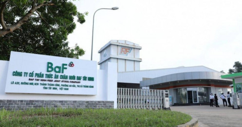 BAF: ESOP giá 10.000 đồng tạo khoảng cách lớn với thị giá