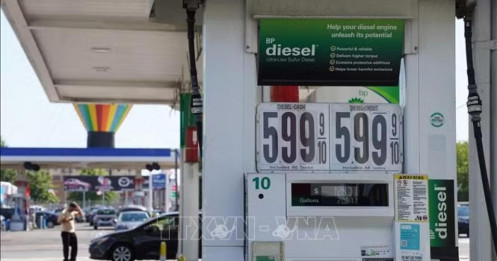Ông Trump cân nhắc cấm xuất khẩu diesel
