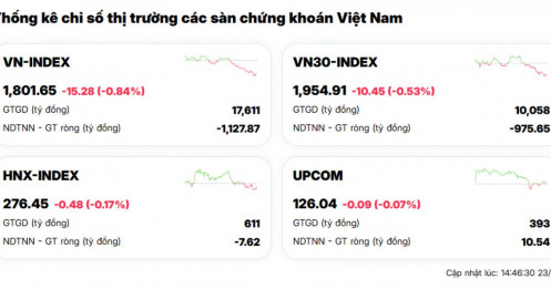 3 cổ phiếu 'họ' Vin kéo VN-Index giảm hơn 15 điểm: Nâng hạng chưa kịp vui đã… đau!