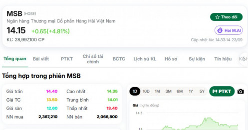 MSB lặng lẽ vượt đỉnh năm: Dòng tiền đang “soi” điều gì mà không báo trước?