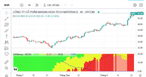 Tập đoàn Mỹ xuống tiền mua 4,99% MSR, định giá công ty 2,5 tỷ USD