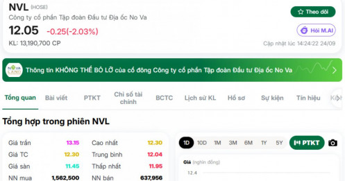 NVL đỏ 4 phiên liên tiếp, thêm tổ chức “xả” 2,5 triệu cổ phiếu: Đang có chuyện gì vậy?
