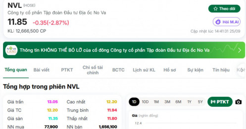 NVL bốc hơi gần 40%, cổ đông lớn lần thứ 4 trong năm lại muốn “xả hàng”