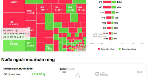 246 tỷ đồng đổ vào SBT giữa lúc khối ngoại bán ròng: Điều gì đang xảy ra