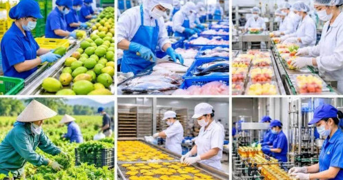 Xuất khẩu sang Mỹ bước vào cuộc chơi mới