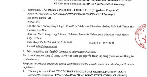 Vingroup lập công ty nghìn tỷ: Lần này nhắm tới lĩnh vực nào?